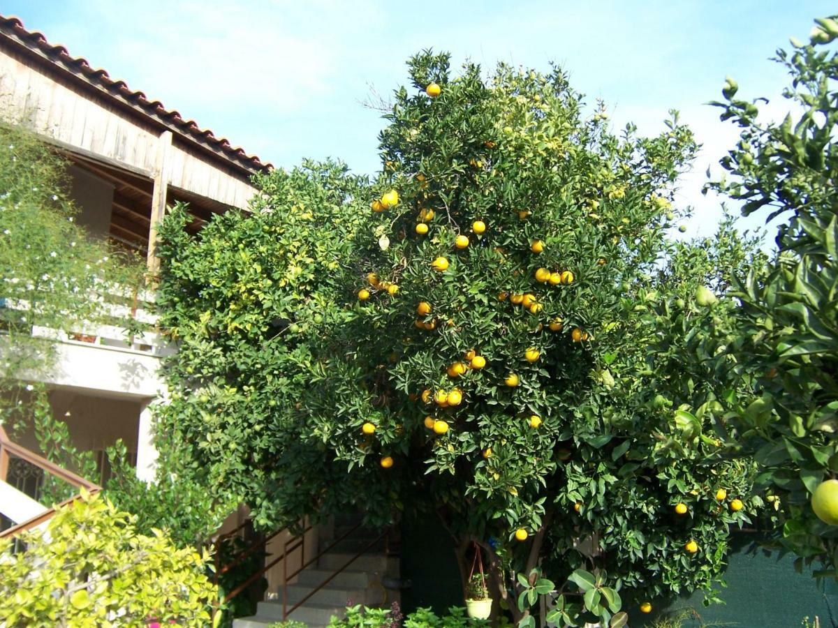 Maria'S Haus In Artemida Artemida (Attica) Exterior foto